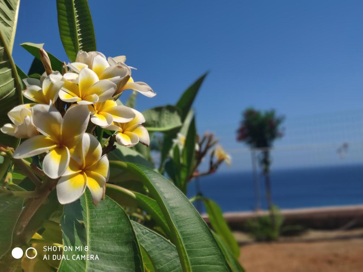 Ardani paradise view villa with jacuzzi Amoopi Esterno foto